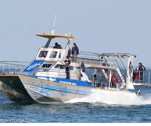 Wilfred se Dream Catcher